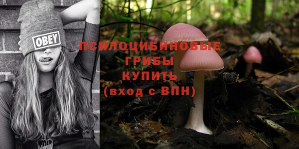 ешки Абдулино